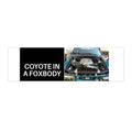Coyote in a Foxbody Bumper Sticker - Car Enthusiast Decal for Automotive Lovers
